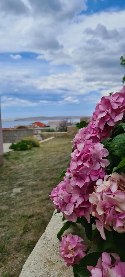 Apartmani Cesar Ртина Экстерьер фото